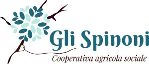 Gli spinoni